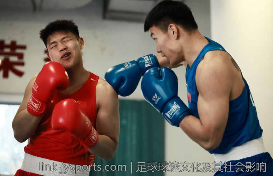 足球球迷文化及其社会影响